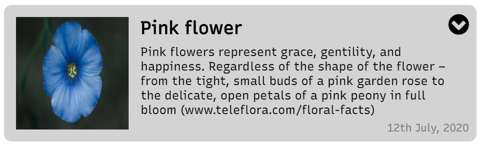 stretched image for card view